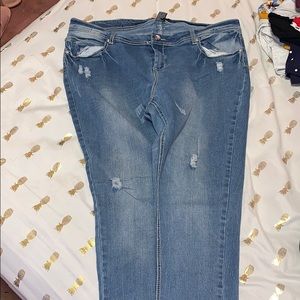 Plus Size Skinny Jeans (Size 20)